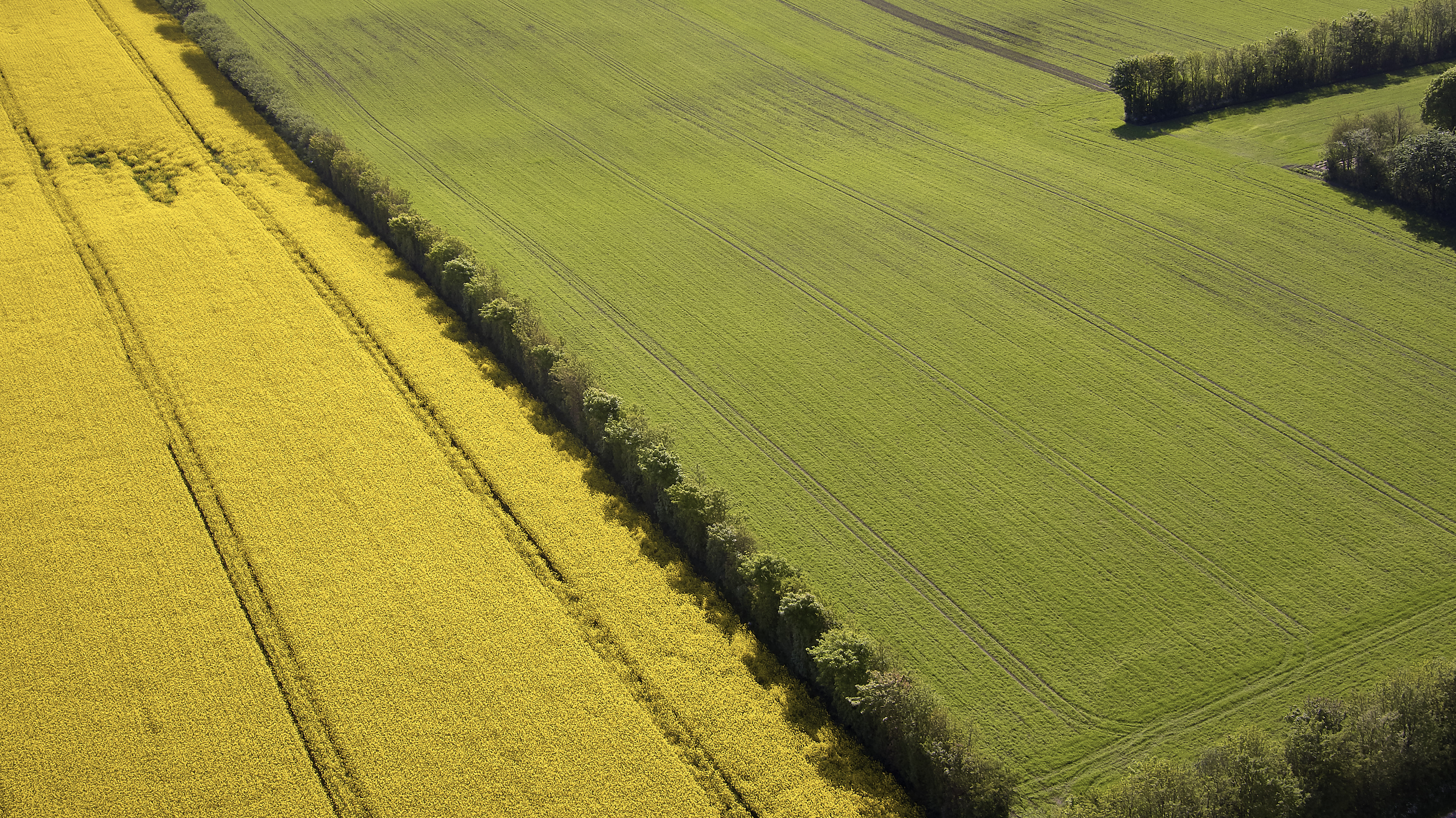 Ingen arrangementer at vise